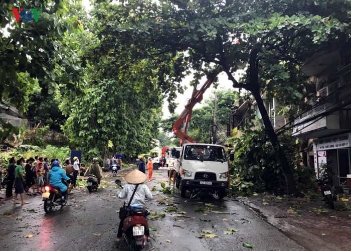 TP Lào Cai: Cây đổ ngổn ngang vì giông lốc dữ dội ảnh 6