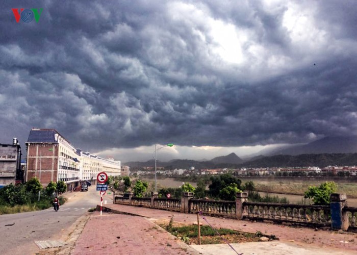 TP Lào Cai: Cây đổ ngổn ngang vì giông lốc dữ dội ảnh 1