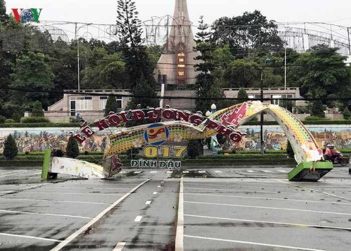 TP Lào Cai: Cây đổ ngổn ngang vì giông lốc dữ dội ảnh 5