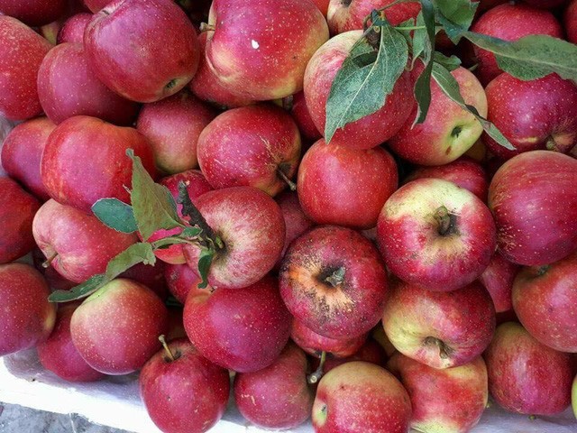 6 loại trái cây Trung Quốc đang tràn ngập chợ Việt Nam ảnh 1