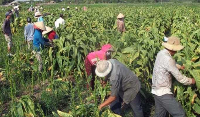 Tăng lợi ích, bớt thiệt thòi ảnh 2