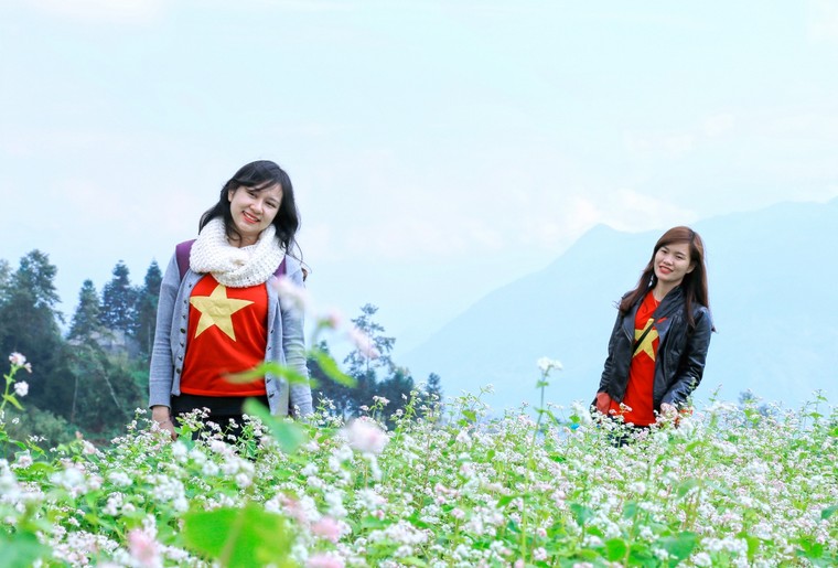 Lên cáp treo Fansipan ngắm hoa tam giác mạch mùa lễ hội ảnh 4