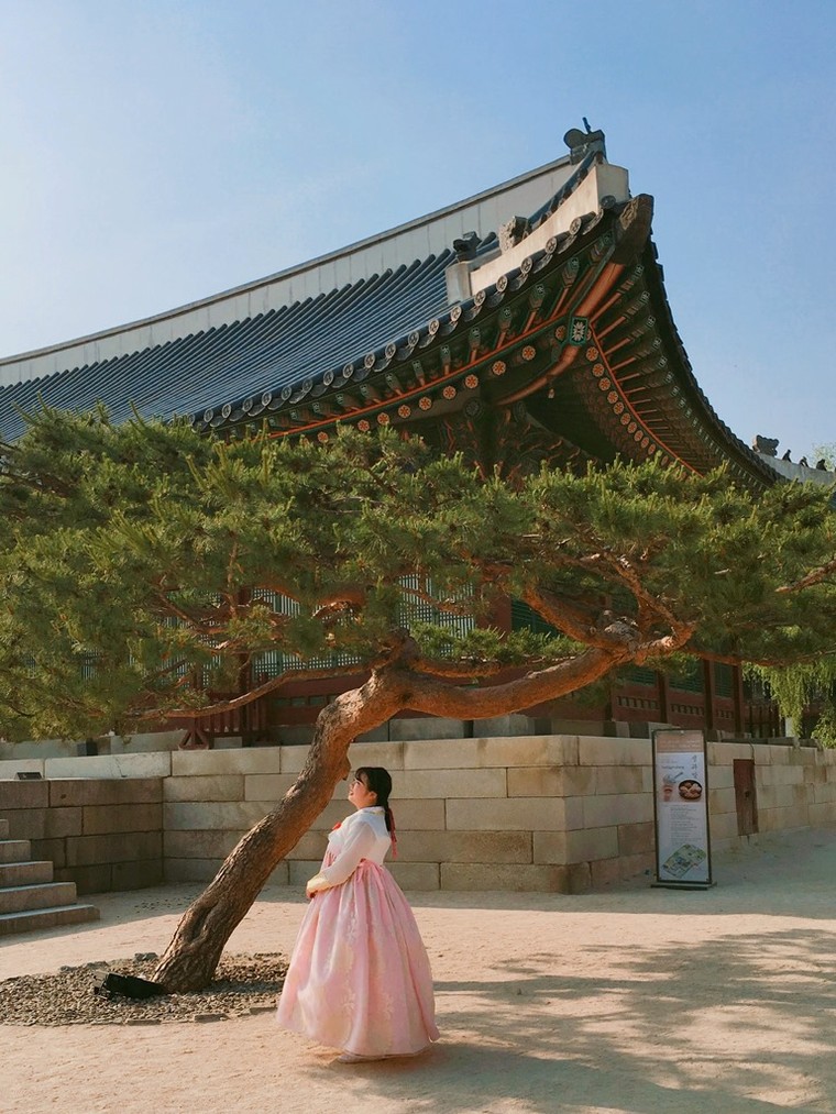 Sửa soạn khăn ấm sang Hàn đón Thu ảnh 1