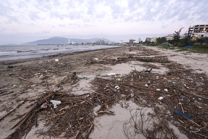 Gần trăm tấn rác tấp vào bãi biển Đà Nẵng ảnh 1
