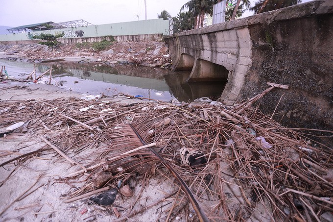 Gần trăm tấn rác tấp vào bãi biển Đà Nẵng ảnh 6