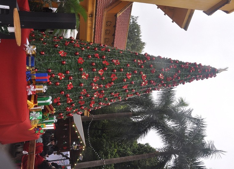 Giáng Sinh cận kề, Hà Nội bừng sáng với nhiều cây thông rực rỡ ảnh 1