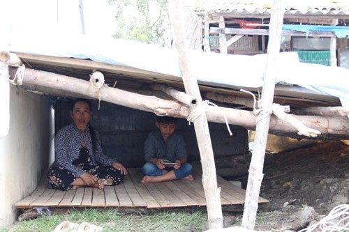 Người Cà Mau chế 'hầm' để tránh bão số 16 ảnh 1