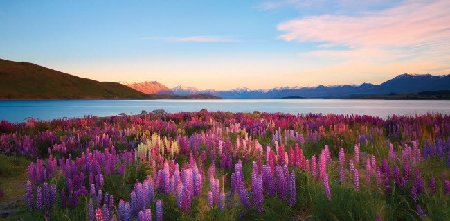 10 địa điểm du lịch rẻ giật mình trong năm 2018 ảnh 9