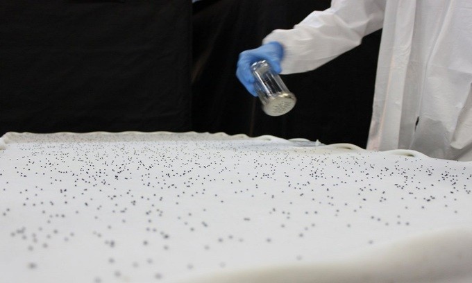 Bí ẩn bên trong trang trại rau sạch thẳng đứng lớn nhất thế giới ảnh 1