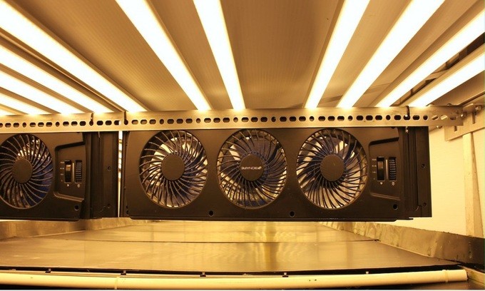 Bí ẩn bên trong trang trại rau sạch thẳng đứng lớn nhất thế giới ảnh 5