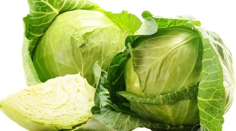 Dược liệu tuyệt vời từ... bắp cải ảnh 1