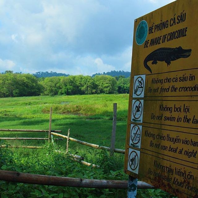 Khám phá đầm lầy nhiều cá sấu nhất Đông Nam Bộ ảnh 1