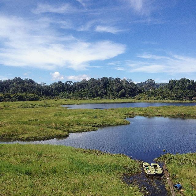 Khám phá đầm lầy nhiều cá sấu nhất Đông Nam Bộ ảnh 5