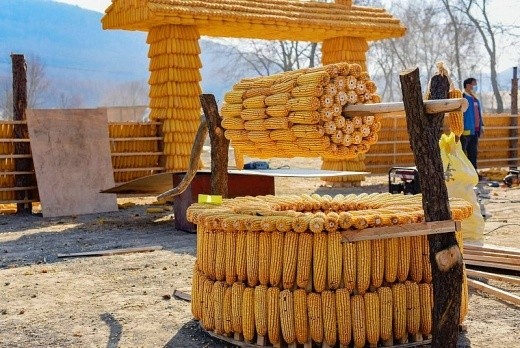 Ngôi nhà 48m2 đẹp như dát vàng xây từ 20 ngàn bắp ngô ảnh 2