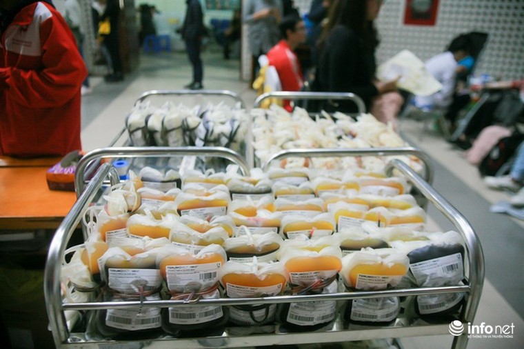 Hàng trăm người xếp hàng chờ hiến máu O sau lời kêu gọi của Viện Huyết học ảnh 7