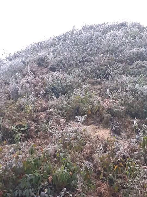 Mèo Vạc có băng giá, Mẫu Sơn rét - 0,3 độ C ảnh 3