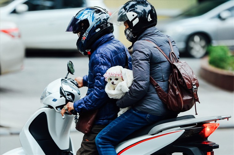 Trời lạnh buốt, người Hà Nội bịt kín khi ra đường ảnh 6