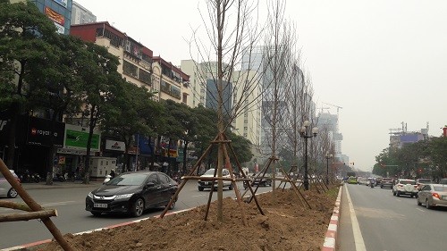 Phong lá đỏ 'đổ bộ' về Hà Nội ảnh 5