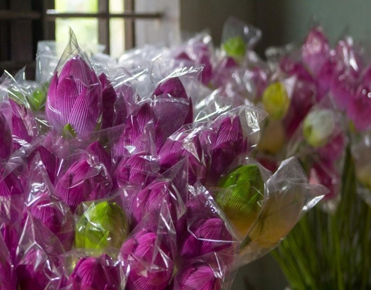 Làng hoa giấy 300 tuổi xứ Huế hối hả vào vụ Tết ảnh 5