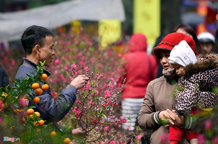 Người Hà Nội tấp nập đi sắm Tết sớm ảnh 1