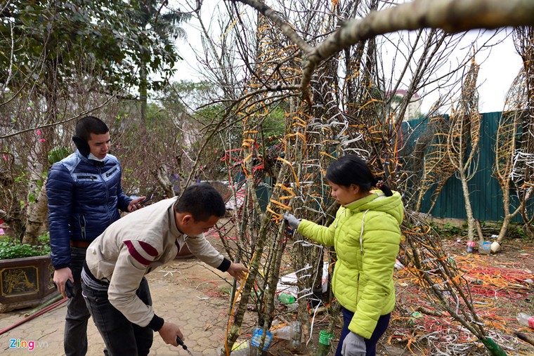 Người Hà Nội tấp nập đi sắm Tết sớm ảnh 6