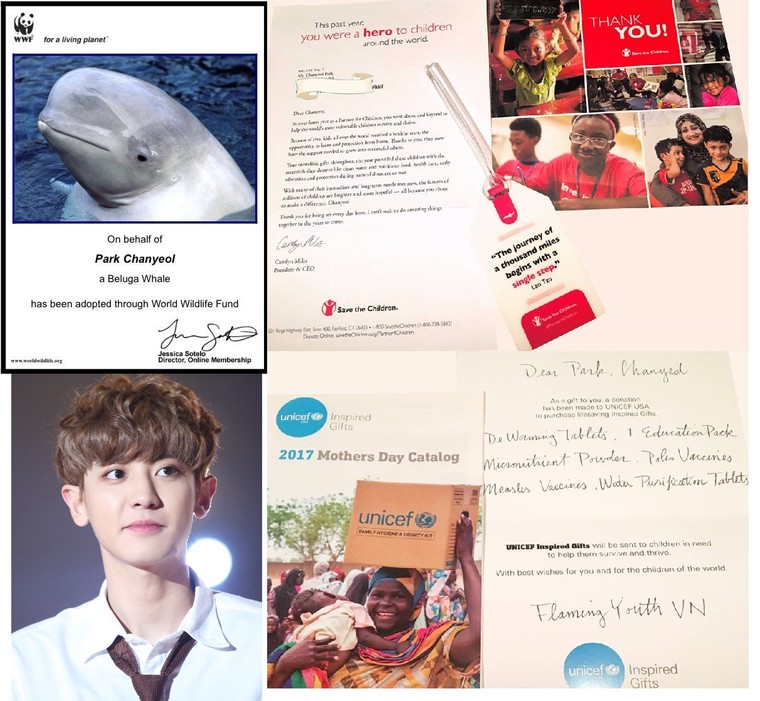 Những người trẻ mê thần tượng, say việc thiện ảnh 2