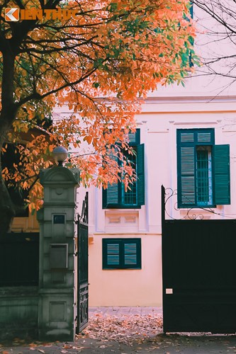 Giới trẻ Hà Nội tự hào với mùa thay lá đẹp chẳng kém Hàn Quốc ảnh 4