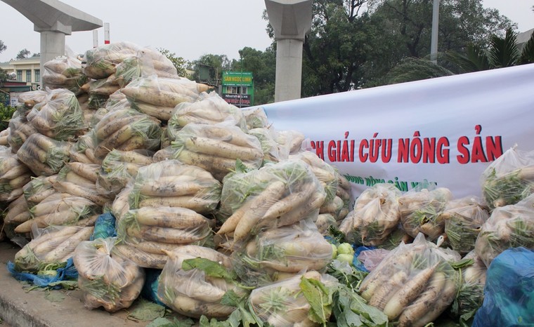 Hà Nội: Người trẻ 'giải cứu' hàng tấn nông sản ảnh 1