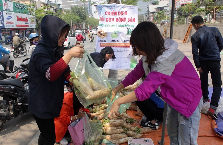 Hà Nội: Người trẻ 'giải cứu' hàng tấn nông sản ảnh 2