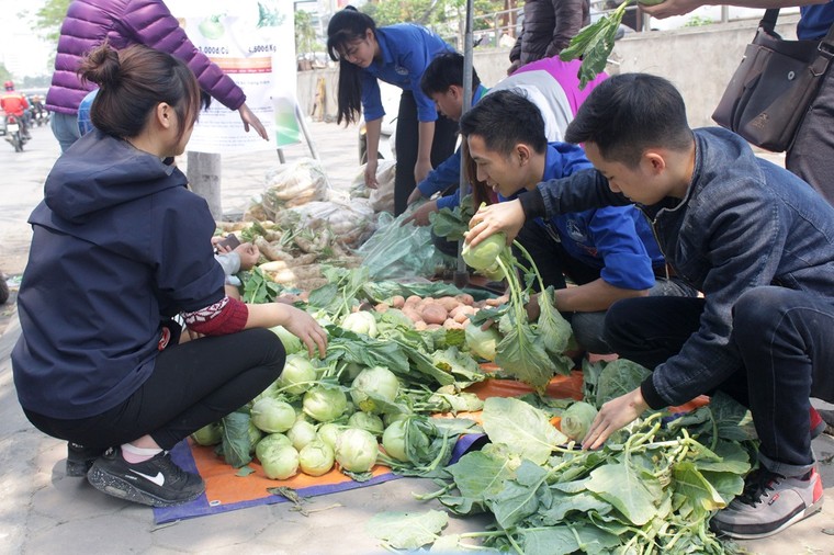 Hà Nội: Người trẻ 'giải cứu' hàng tấn nông sản ảnh 3