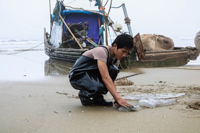 ‘Chợ sứa’ trên biển Hải Hòa một buổi sớm mai ảnh 4