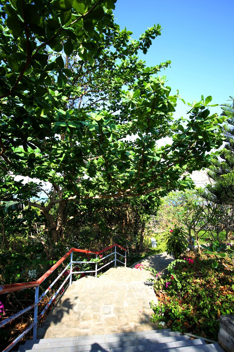 Chiêm ngưỡng Vân Sơn Tự - ngôi chùa đẹp nhất Việt Nam ảnh 5