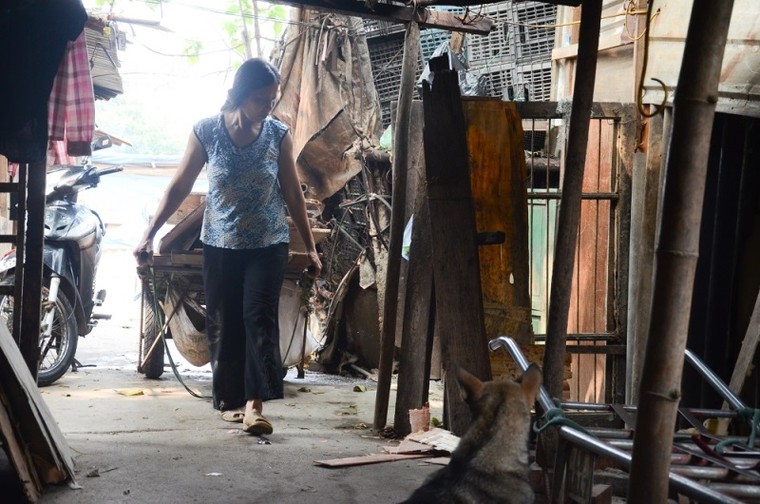 'Góc tối' mưu sinh của người phụ nữ chăn lợn thuê sau chợ Long Biên ảnh 12