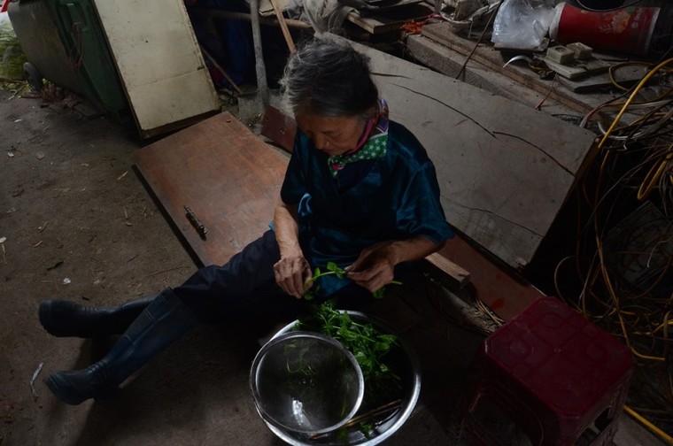 'Góc tối' mưu sinh của người phụ nữ chăn lợn thuê sau chợ Long Biên ảnh 13