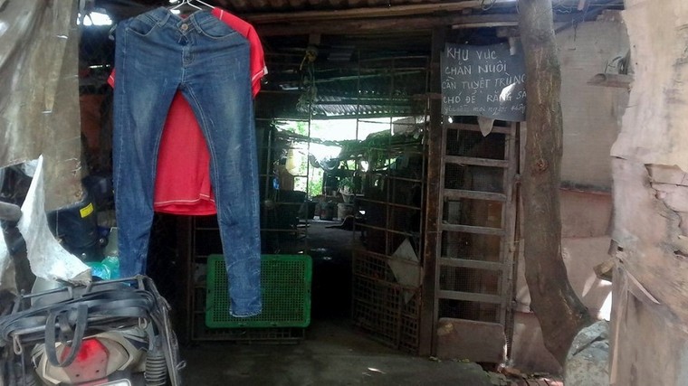 'Góc tối' mưu sinh của người phụ nữ chăn lợn thuê sau chợ Long Biên ảnh 1