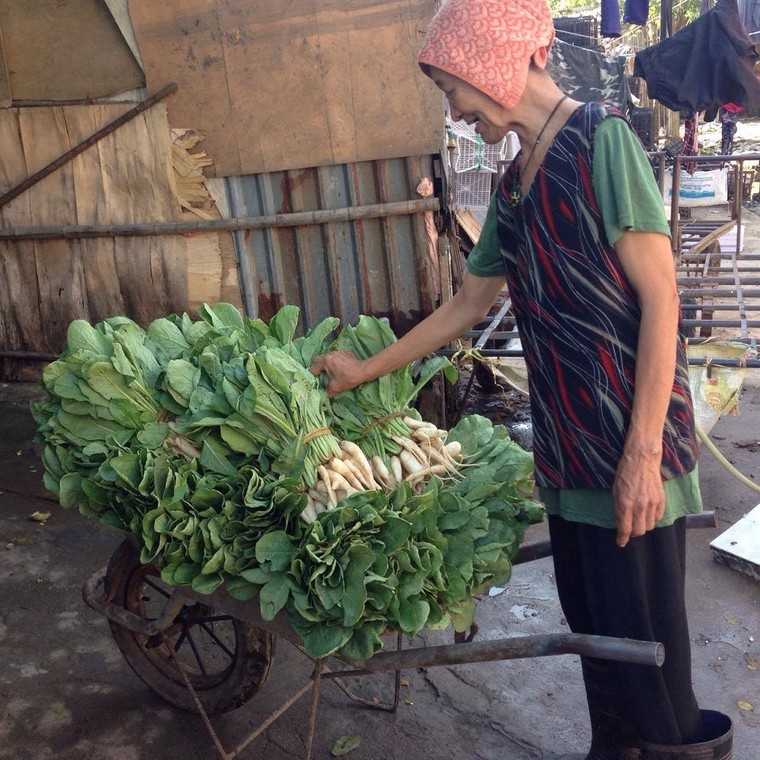 'Góc tối' mưu sinh của người phụ nữ chăn lợn thuê sau chợ Long Biên ảnh 6