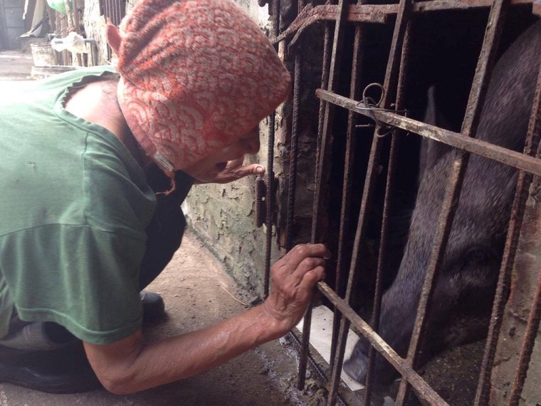 'Góc tối' mưu sinh của người phụ nữ chăn lợn thuê sau chợ Long Biên ảnh 8