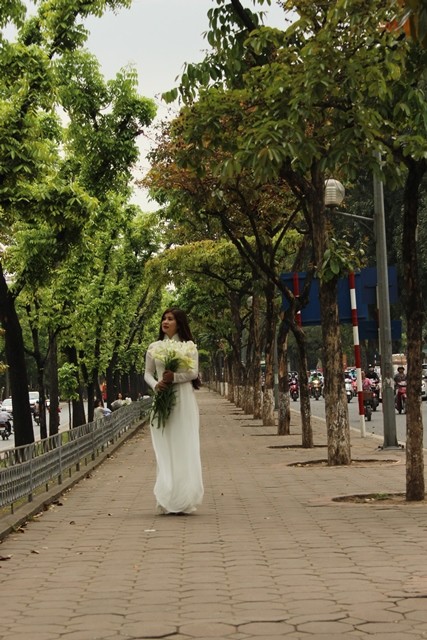 Loa kèn xuống phố gọi hè về ảnh 10