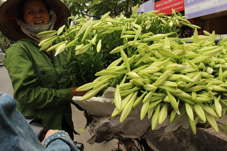 Loa kèn xuống phố gọi hè về ảnh 6