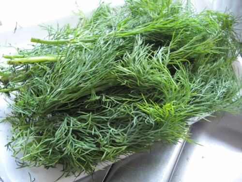 10 loại thực phẩm cực tốt cho người đau dạ dày ảnh 2