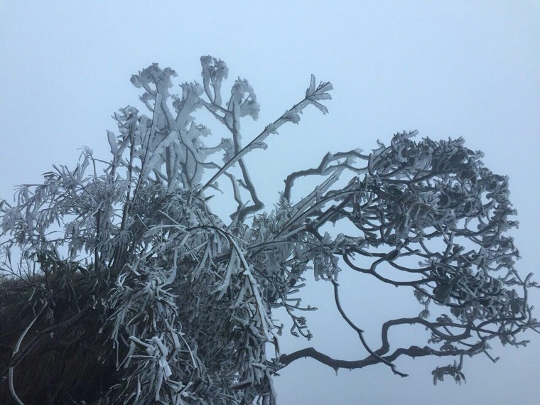 Đỉnh Fansipan phủ kín băng trắng ngay trong ngày đầu đón rét nàng Bân ảnh 7