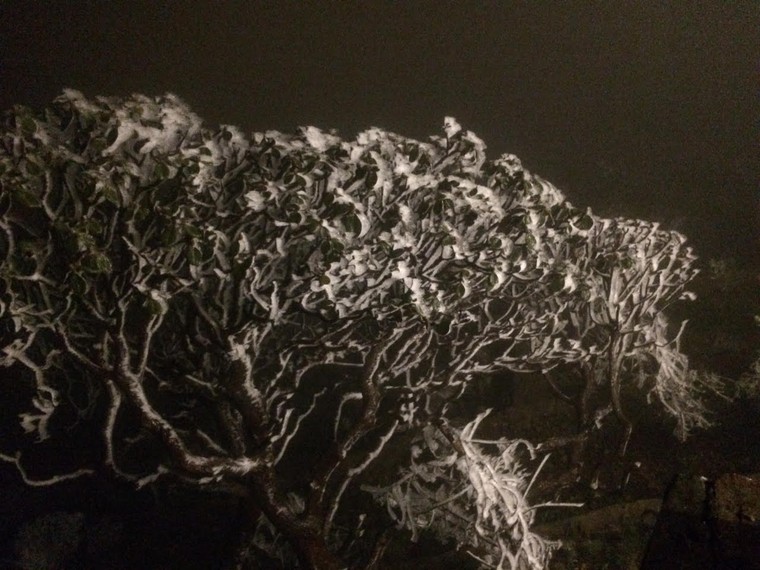 Đỉnh Fansipan phủ kín băng trắng ngay trong ngày đầu đón rét nàng Bân ảnh 5