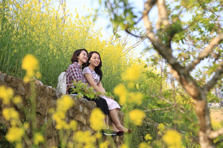 Tin được không, vé cáp treo Fansipan giảm còn 200.000 đồng? ảnh 4