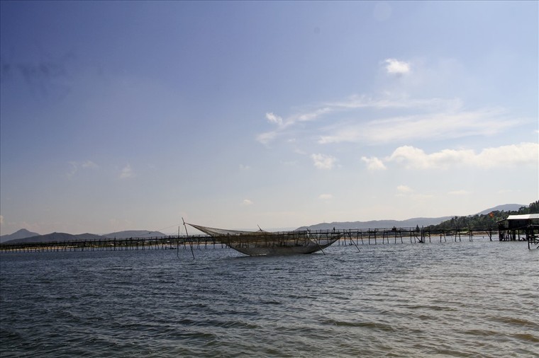 Phú Yên: Cây cầu gỗ dài nhất Việt Nam ảnh 3