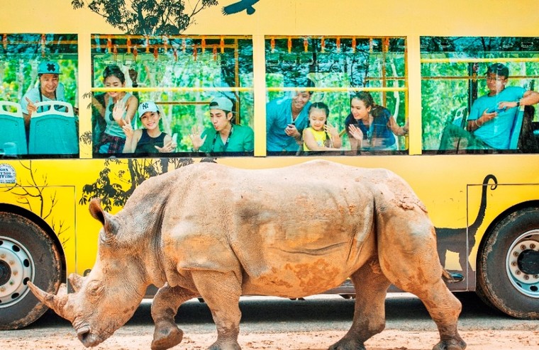 Vinpearl Nha Trang được CNN bình chọn là 1 trong 30 điểm ‘phải đến’ tại Việt Nam ảnh 8