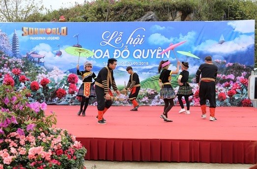 Ngẩn ngơ trước rừng đỗ quyên cổ thụ trên đỉnh Fansipan ảnh 9