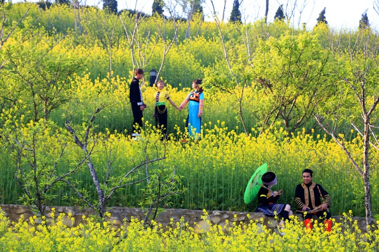 30/4 này, thử dự hội hoa Tây Bắc ở Fansipan không? ảnh 4