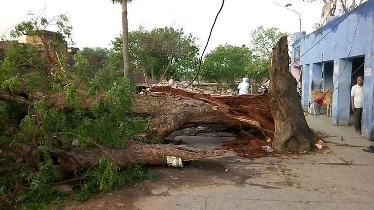 Bão cát kinh hoàng 'nuốt chửng' Tây Bắc Ấn Độ, hơn 80 người thiệt mạng ảnh 2