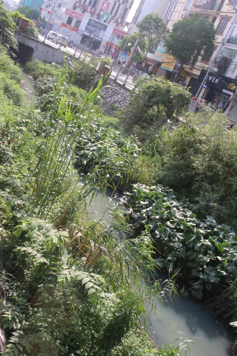 Trời nắng nóng, mương rác lộ thiên ở Yên Hòa ‘làm khổ’ người dân ảnh 1