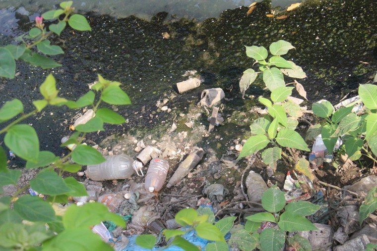 Trời nắng nóng, mương rác lộ thiên ở Yên Hòa ‘làm khổ’ người dân ảnh 3